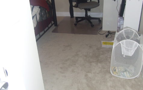 Carpet Flooring - Miracle 786 Flooring in Surrey Guildford