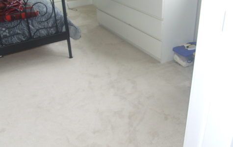 Carpet Flooring - Miracle 786 Flooring in Surrey Guildford